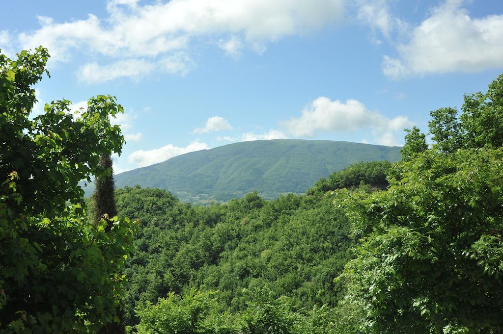 Agriturismo Paradiso 44 อัสซิซี ภายนอก รูปภาพ