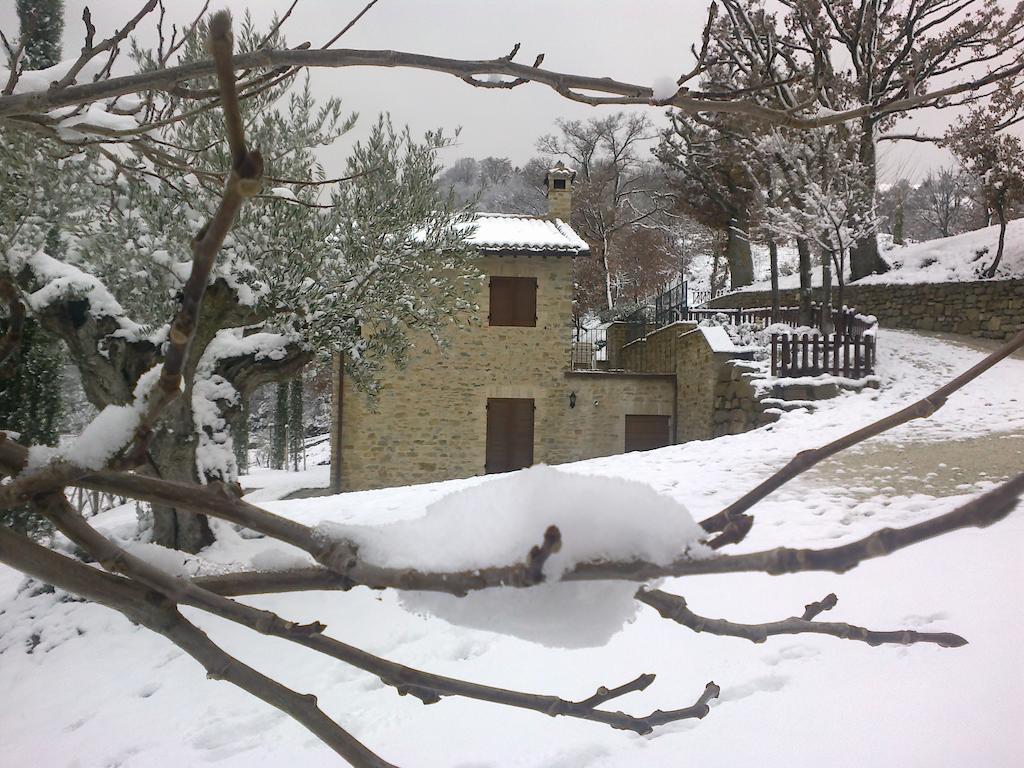 Agriturismo Paradiso 44 อัสซิซี ภายนอก รูปภาพ