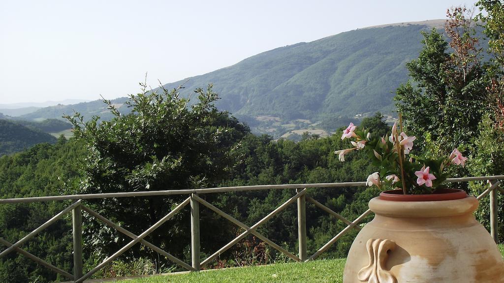 Agriturismo Paradiso 44 อัสซิซี ภายนอก รูปภาพ