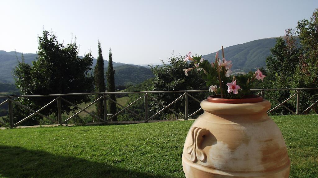 Agriturismo Paradiso 44 อัสซิซี ภายนอก รูปภาพ