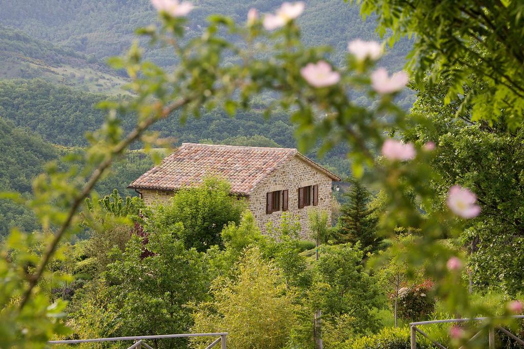Agriturismo Paradiso 44 อัสซิซี ภายนอก รูปภาพ