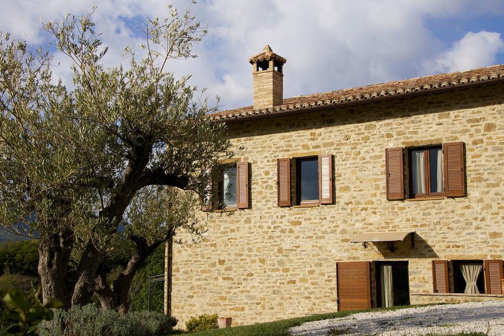 Agriturismo Paradiso 44 อัสซิซี ภายนอก รูปภาพ